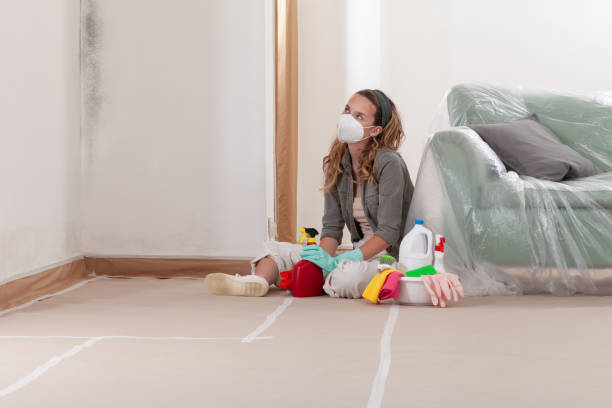Reliable Mold Remediation contractor in DuPont, WA by WQB Mold Removal